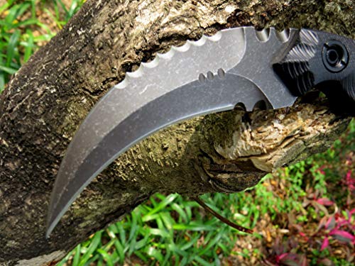 Ccanku C1691 Fixed Blade Knife D2 Steel G10 Handle 4 Inches,Outdoor Claw Knife,Camping Edc Tools, Kydex Sheaths … … #TOP3