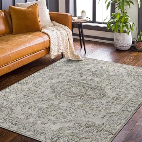 9CH Vintage Retro Rugs 5' X 7' for Living Room, Machine Washable Non Slip Traditional Area Rug for Bedroom, Dining Room, Home Office, Light Taupe Brown Cover