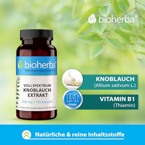 BIOHERBA Knoblauch Kapseln – 100 Stück mit 260 mg hochdosiertem Extrakt mit Vitamin B1 für den normalen Energiestoffwechsel PZN 19680003