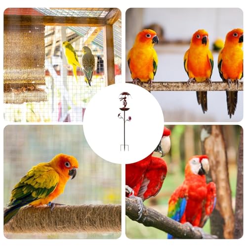 Comedero para pájaros silvestre en césped con luz solar 5