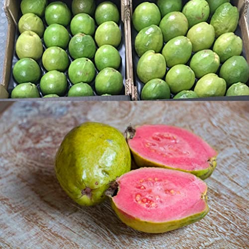Caja de 3kg Guayaba Rosa. Recién recolectado. Del campo a la mesa en 24h.