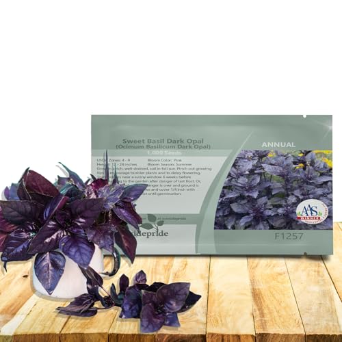 Outsidepride Dark Opal Basil Seeds – 1000 Pieces Annual Purple Basil Herb Seeds, Non-GMO, Ideal for Indoor & Outdoor Gardens, Aromatic Herb Borders for Fresh Flavor & Fragrant Foliage (AAS Winner)