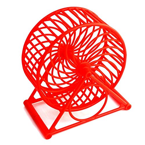 13cm Jumbo Running Cum Jogging Cum Exercise Wheel for Hamster/Dwarf/Gerbil/Mice/Mouse (Red) 3