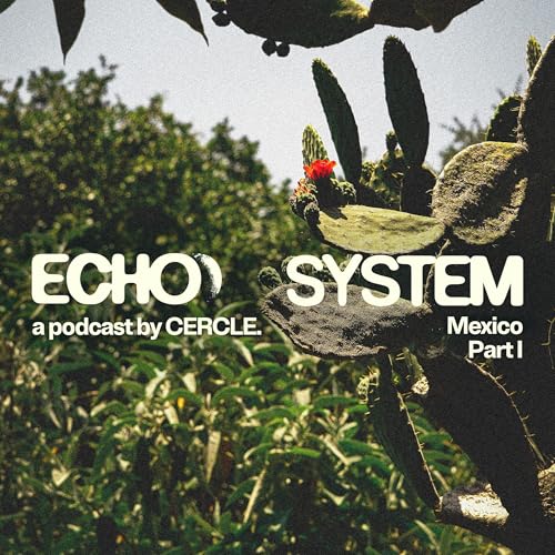 Mexico City (part 1): Macario Martinez, Z&oacute;calo, Mariachi & Cercle Odyssey