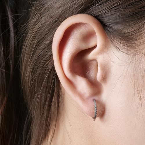 Limerencia Titanium Hoop Earrings for Women,G23 Implant Grade Pure Titanium Lightweight Hoop Earrings for Women Men Sensitive Ears4