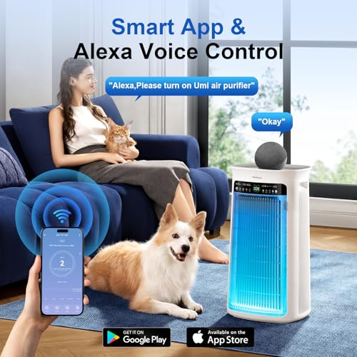Soleus Air Purifier Expert Tips