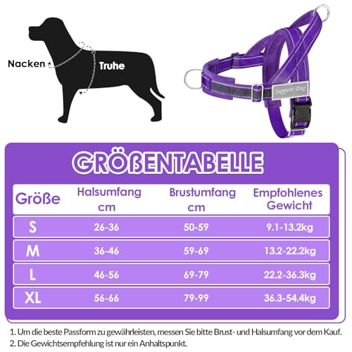 Eyein Hundegeschirr mit Leine für große mittelgroße Hunde, Weich gepolsterter Brustgeschirr mit 2 Leinenclips, Reflektierend & Leichtgewicht Anti Zug Geschirr für Spaziergänge Training, Lila, L
