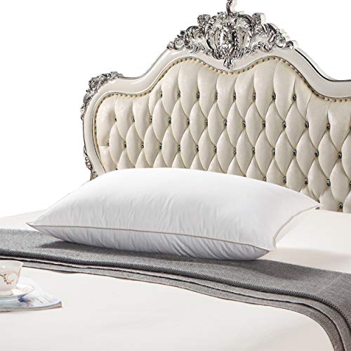 Premium Goose Down Pillow - King Size - 750 Fill Power - 1200 Thread Count 100% Egyptian Cotton Cover, White (Soft - Medium Firm)