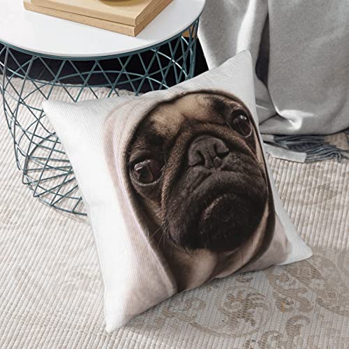 Housse de coussin carlin douce en velours côtelé lavable