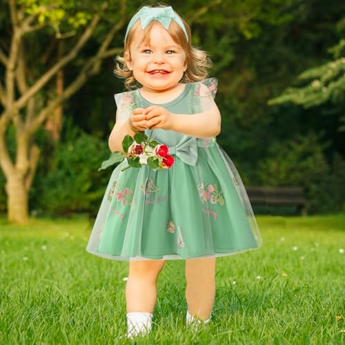 Baby Girl Birthday Flower Dress Lace Tulle Dress with 2 Hair Bows Party Clothes Photo Shoot for 0-18 Months2