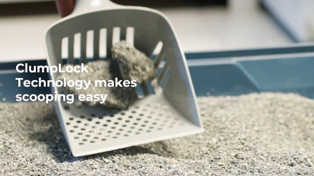 Fresh Step Advanced Cat Litter Lbs Fresh Step Multi-Cat