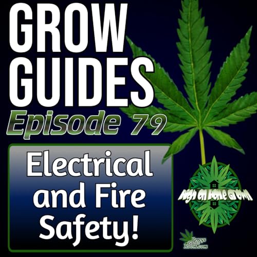 Fire & Electrical Safety in the Grow Room | How to Prevent Disasters Before They Happen | Grow Guides Ep.79