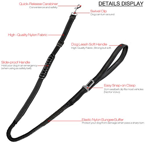 Sconosciuto Cintura di Sicurezza guinzaglio del