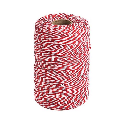 25+ Festive DIY Christmas Gifts to Make This Holiday Season 3 Tenn Well Red and White Twine, 656 Feet 200m Cotton Bakers Twine Ribbon for Baking, Butchers, Crafts, Gift Wrapping, Christmas Holiday Decorations