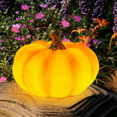 WONDHOME Solar Pumpkin Lights - Garden Statues for Thanksgiving & Halloween Outdoor Fall Decorations for Porch Terrace Yard Lawn Patio
