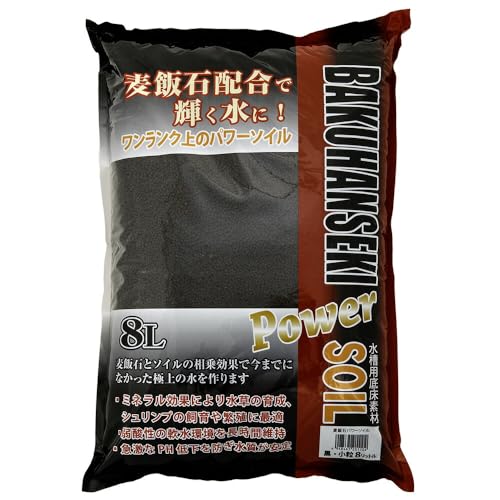 \lP~t@ ѐ΃p[\C8L  ̑