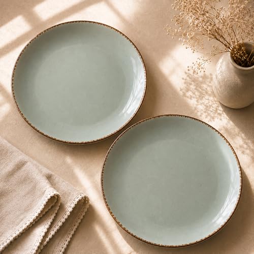 Image of The Earth Store Glossy Mint Marble 10 Inch Ceramic Plates Set of 6 Microwave & Dishwasher Safe Dinner Plates | Full Plates for Daily Use, Gifting