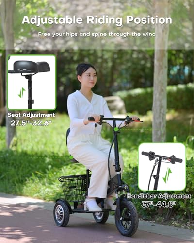 3 Wheel Electric Scooter for Adults, 3 Wheel Mobility