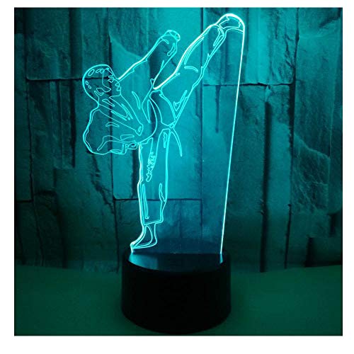 3D Optical Illusion LED Lamps Night Light,Amazing 7 Colors Quick Touch Switch Lamp with Smooth Acrylic Flat,USB Powered Deco Lamp,Birthday Christmas Holiday Gift For Kids and Friends,Taekwondo_a