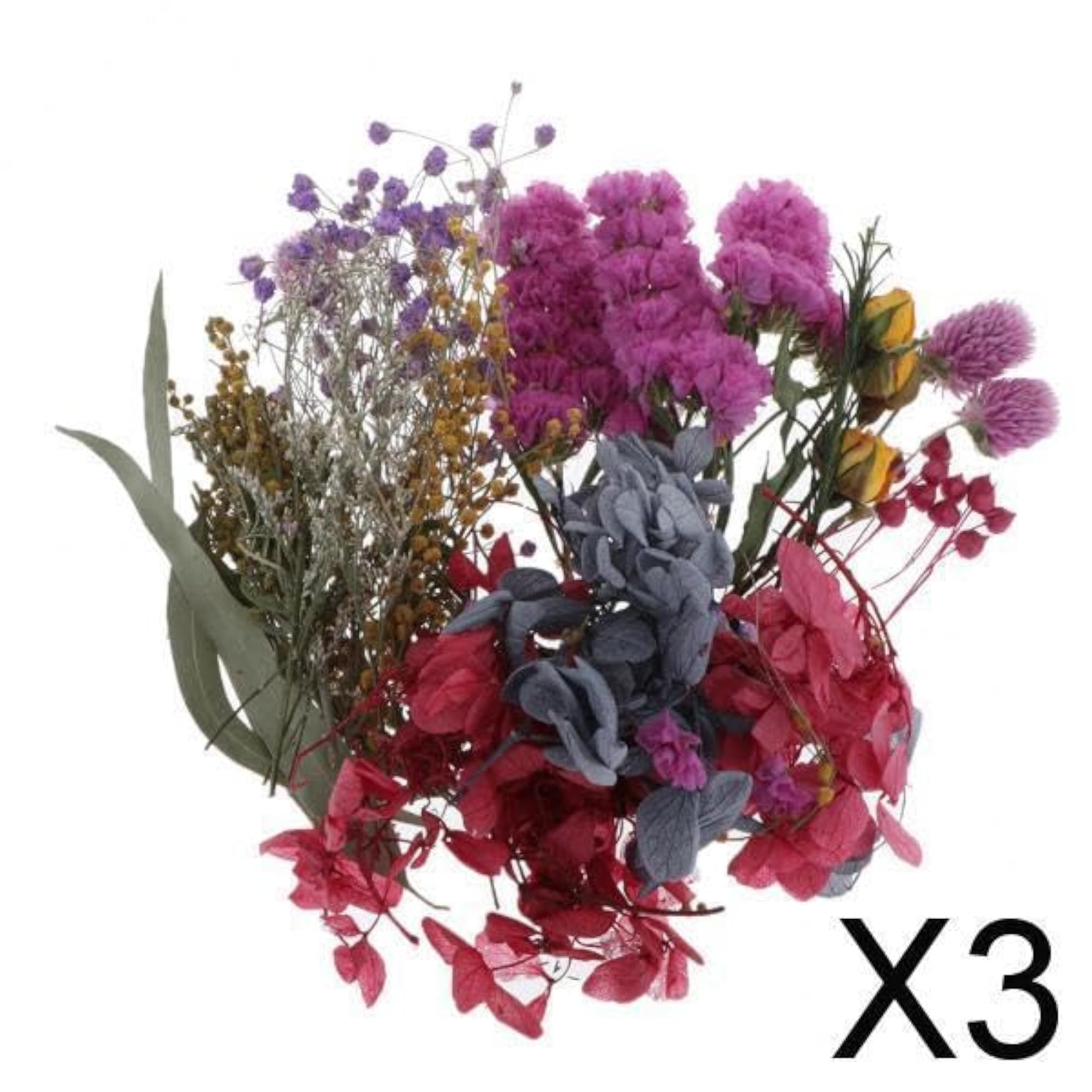 Natural Pressed Dried Flowers Leaves for DIY Art Craft