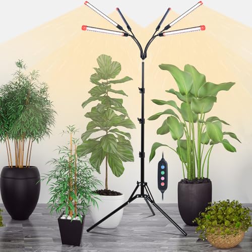 How long to leave grow light on for bonsai