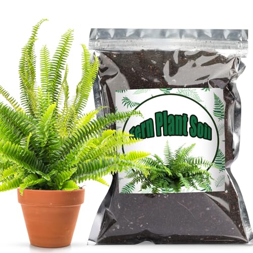 Doter Potting Soil Mix for Fern 1qt, Custom Hand Blended Mixture Suitable for Indoor/Outdoor Potted Fern Plant