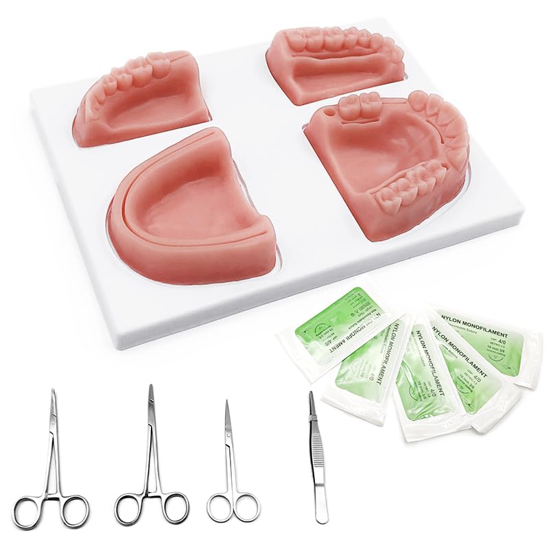 Image of Oral Suture Training Pad Set with 4 Dental Suture Pads for Dentical Nurse Suture Training。Dental Suture Practice Pad for Practic on Soft Gum Teeth。Dental Suture Pad，Gifts for Medical Students