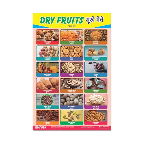 Image of ESCAPER Dry Fruits Educational Charts for Kids, Charts for Kids Learning (11.5 x 17.5 inches), Kids Study Material, Kids Learning Books, Educational Posters