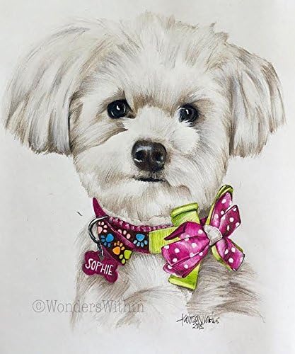 Custom Pet Portrait - 5x7