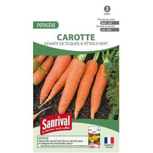 Graines Carotte Géant de Tilques
