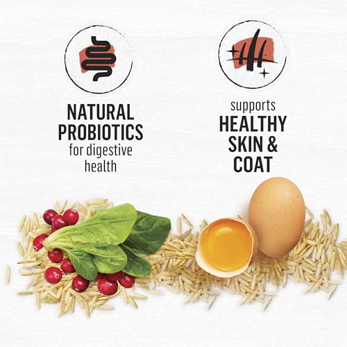 Purina Beyond Natural Wholesome Ingredients for Whole Health Dry Cat Food Salmon and Whole Brown Rice Recipe - 6 lb. Bag - Image 5