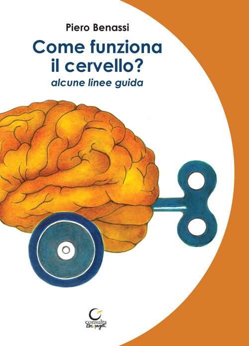 Come funziona il cervello? Alcune linee guid