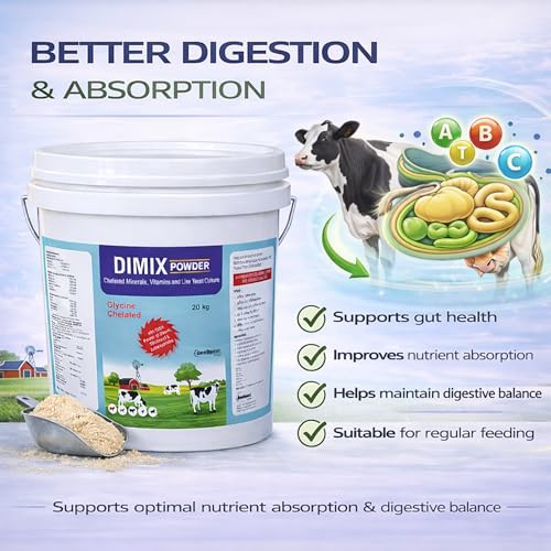 Image of Dimix Mineral Mixture Powder Bucket Pack | Essential Minerals for Cattle, Buffalo, Goat & Poultry | Boosts Milk Yield, Fertility & Immunity (20kg)