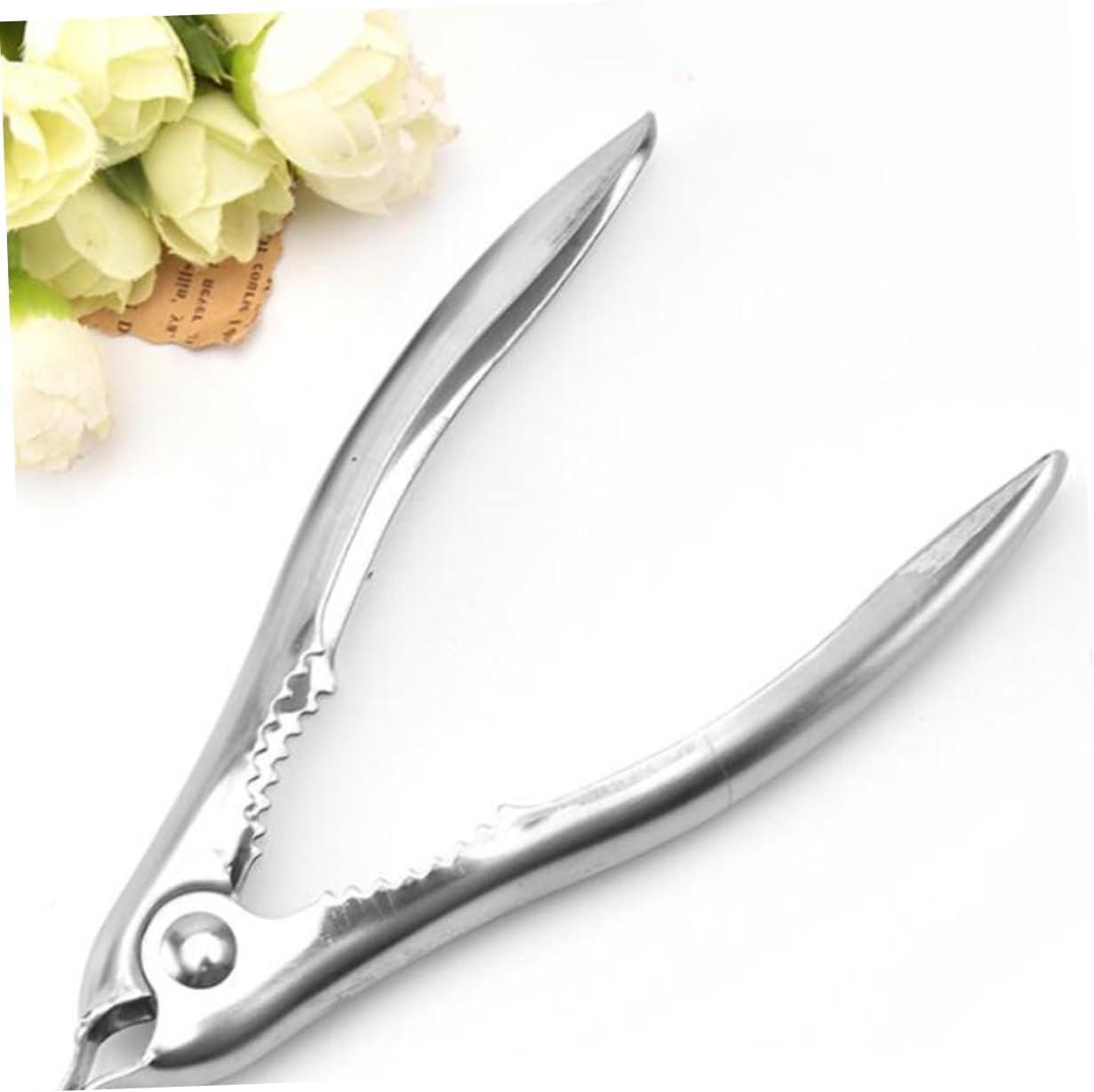 3pcs Seafood Picks Seafood Fork Clam Clamps Seafood Opener Mutitool Sea Shells for Crafts Prawn Crackers Cleaning Tool Seafood Tools Lobster Picks Brazil Nuts Clip Small