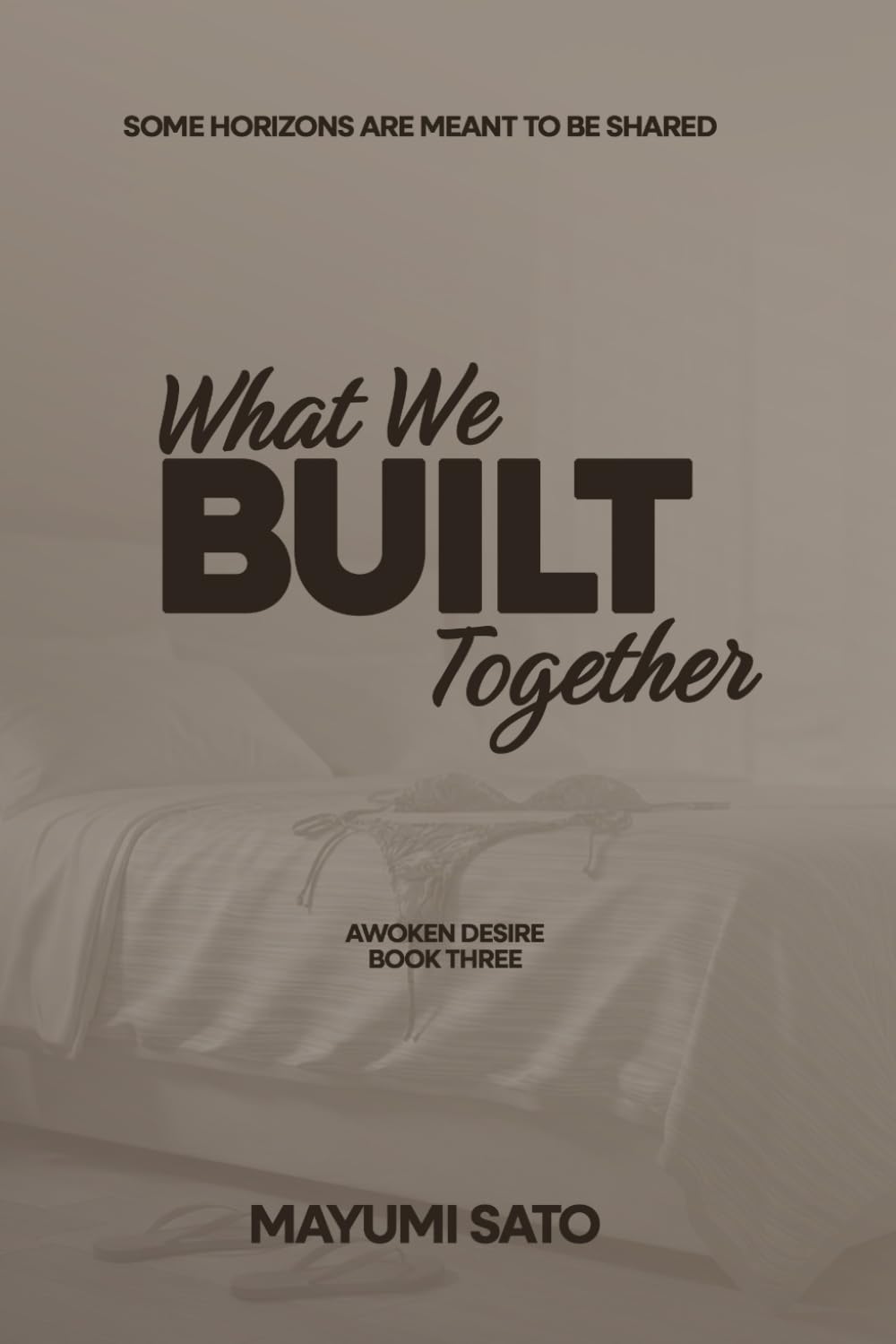 What We Built Together: A Steamy, Emotional Cross-Cultural Romance About Claiming the Life You Want (Awoken Desire)