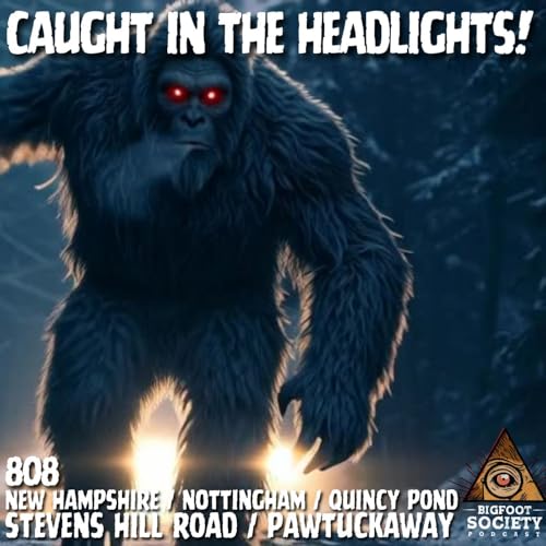 Caught in the Headlights! | New Hampshire Podcast Por  arte de portada
