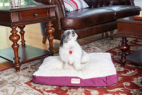 Armarkat Pet Bed Mat 28 By 22 By 5, M02Hjh/Mb-Medium, Ivory #TOP3