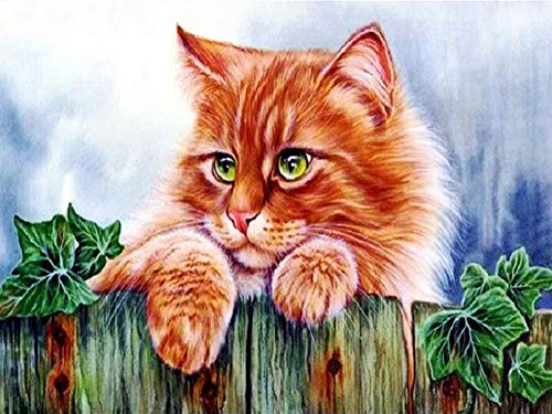 iFymei Paint By Numbers for Kids & Adults & Beginner , DIY Oil Painting Gift Kits 16 x 20 inch Canvas - Cat