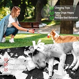 Jenilily Dog Toys Chew for Aggressive Chewers Rope Ball Suction Cup Puppy Training Tug of War Puzzle Toy Treats Toothbrush Boredom Pet Food Dispensing Features  Cucciolini Doodles Jenilily dog toys chew for aggressive chewers rope ball suction cup puppy training tug of war puzzle toy treats toothbrush boredom pet food dispensing features   cucciolini doodles