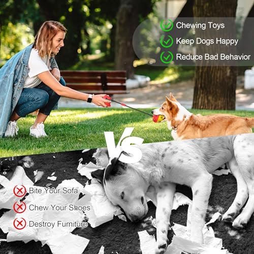 Jenilily Dog Toys Chew for Aggressive Chewers Rope Ball Suction Cup Puppy Training Tug of War Puzzle Toy Treats Toothbrush Boredom Pet Food Dispensing Features  Cucciolini Doodles Jenilily dog toys chew for aggressive chewers rope ball suction cup puppy training tug of war puzzle toy treats toothbrush boredom pet food dispensing features   cucciolini doodles