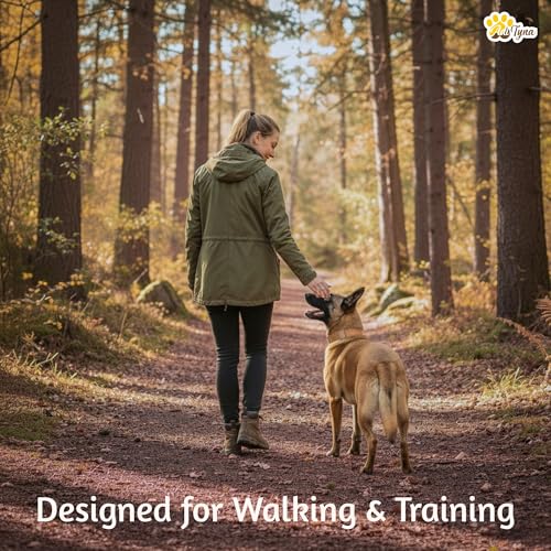 Image of ADITYNA Leather Dog Collar for Medium & Large Dogs, Adjustable 15-21 inch Neck | Padded, heavy-duty metal buckle. Great for walking, training and hiking - ideal for Labrador, Boxer, Pitbull and Collie.