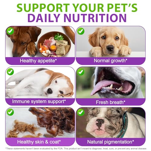 15 in 1 Multivitamintropfen für Hunde, 60 ml tägliche Vitamine für Hunde, hilft bei Hüfte und Gelenken, Immunsystem, Haut, Fell und Darmgesundheit