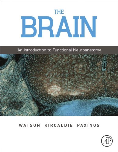 The Brain: An Introduction to Functional Neuroanatomy