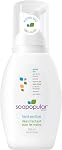 Alcohol Free Foam Hand Sanitizer, 0.15% Benzalkonium Chloride, Hypoallergenic, Fragrance Free, Safer for Kids, 250mL 2-Pack