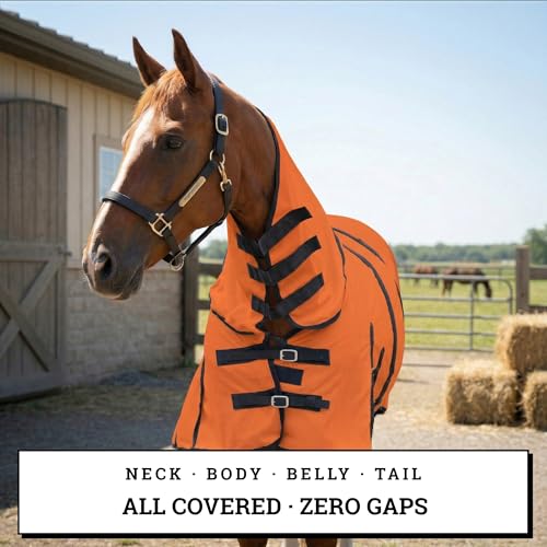 Image of Horse Fly Sheet with Attached Neck Cover & Tail Flap | UV Protection Mesh Horse Blanket, Full Body Bug & Sun Shield, Buckles, Belly Wrap & Gussets for Spring Summer Riding Rug (Orange, 76 inch)
