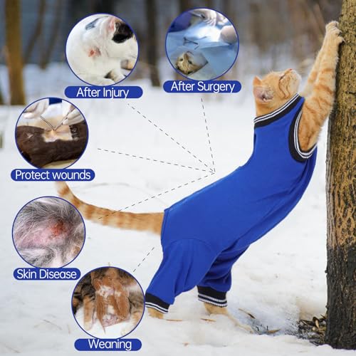 MHaustlie Katzenbody Nach Op Katzen Op Body Kastration Body Katze Nach Operation für Hinterbeine E Halsband Alternative für Katzen Anti Lecken Body Operation Recovery Tuch Anzug für Katzen (Blau, S)