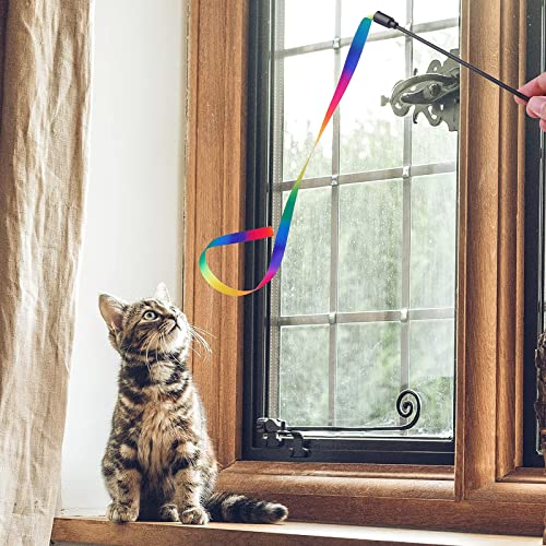 Molain Bacchetta per gatti, 5 pezzi di giocattoli