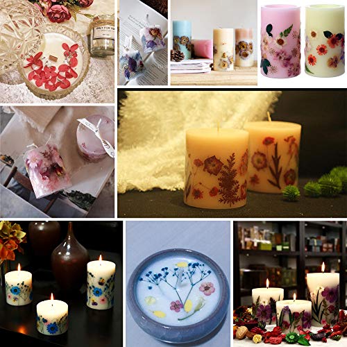 image for Purple 51pcs Real Dried Pressed Flowers Leaves Petals,Josisi Colorful 