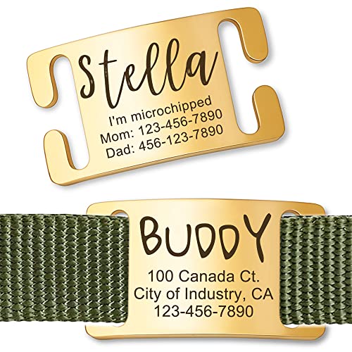 Anavia Slide On Silent Pet ID Tags, S/M/L/XL Personalized Gold Bl...