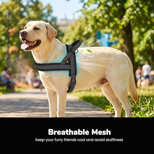 Image of Didog No Pull Dog Harness for Large Dogs, Breathable Mesh Padded, Black, L